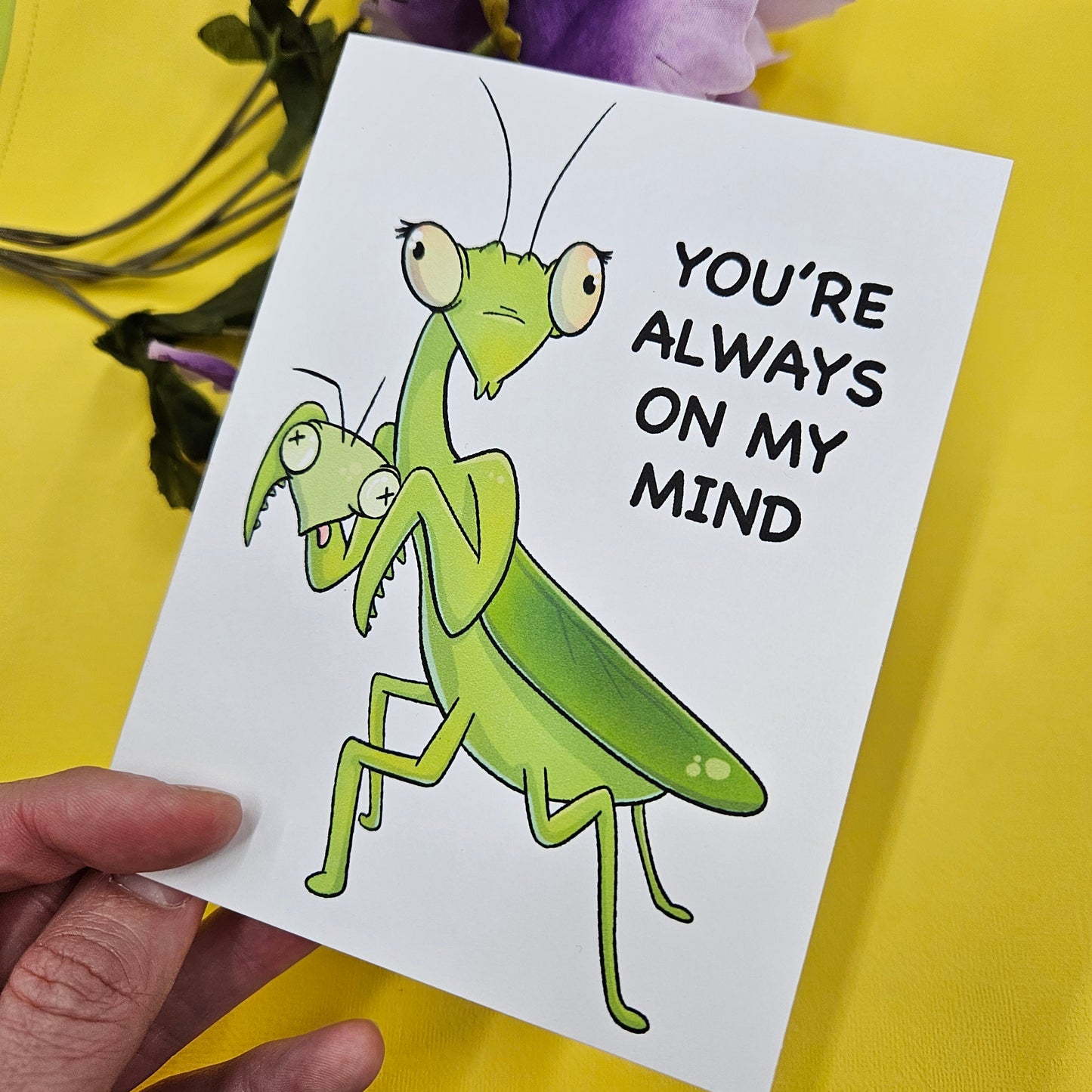 Love Bugs Greeting Card Pack (5 cards)