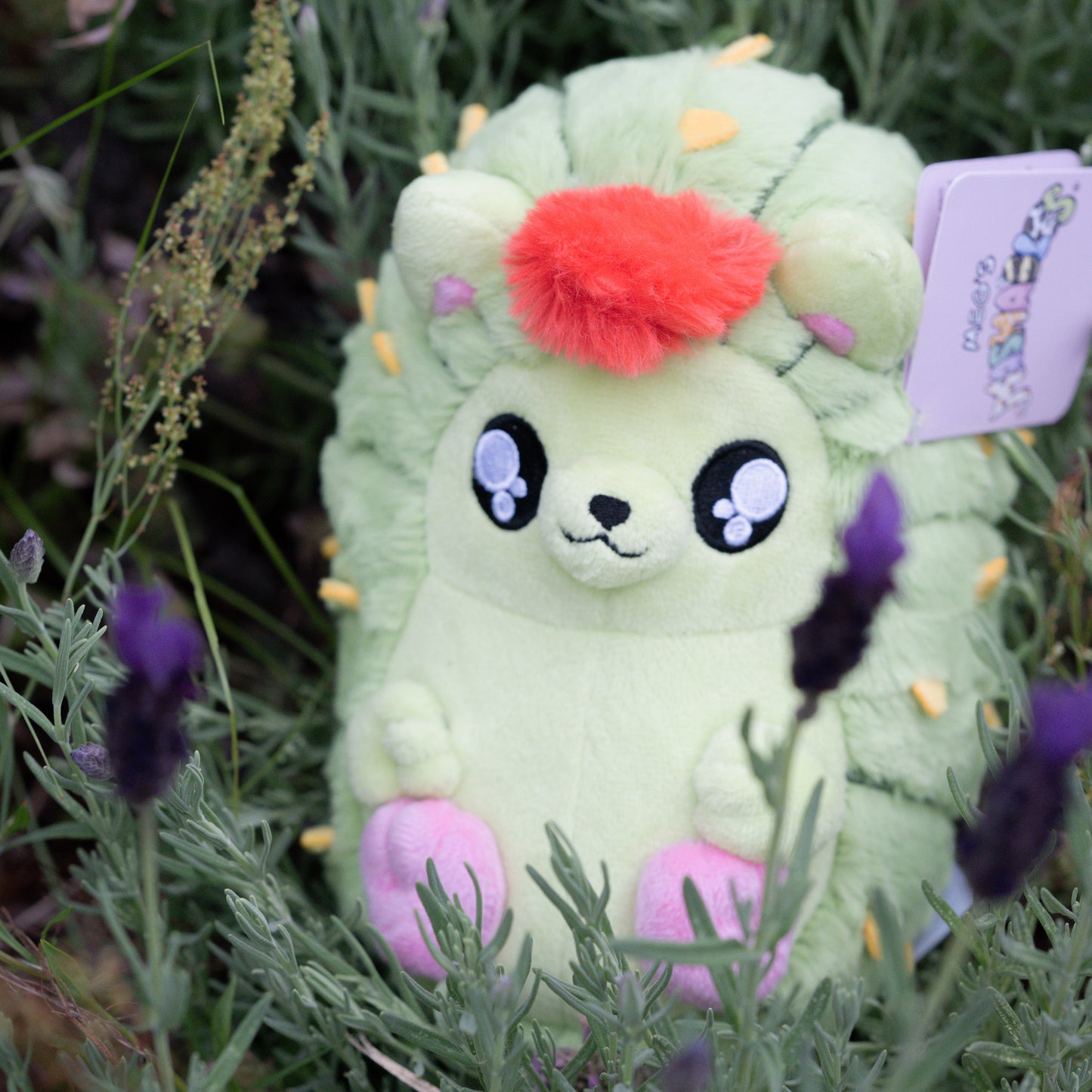Cacthog Plush (cactus + hedgehog)