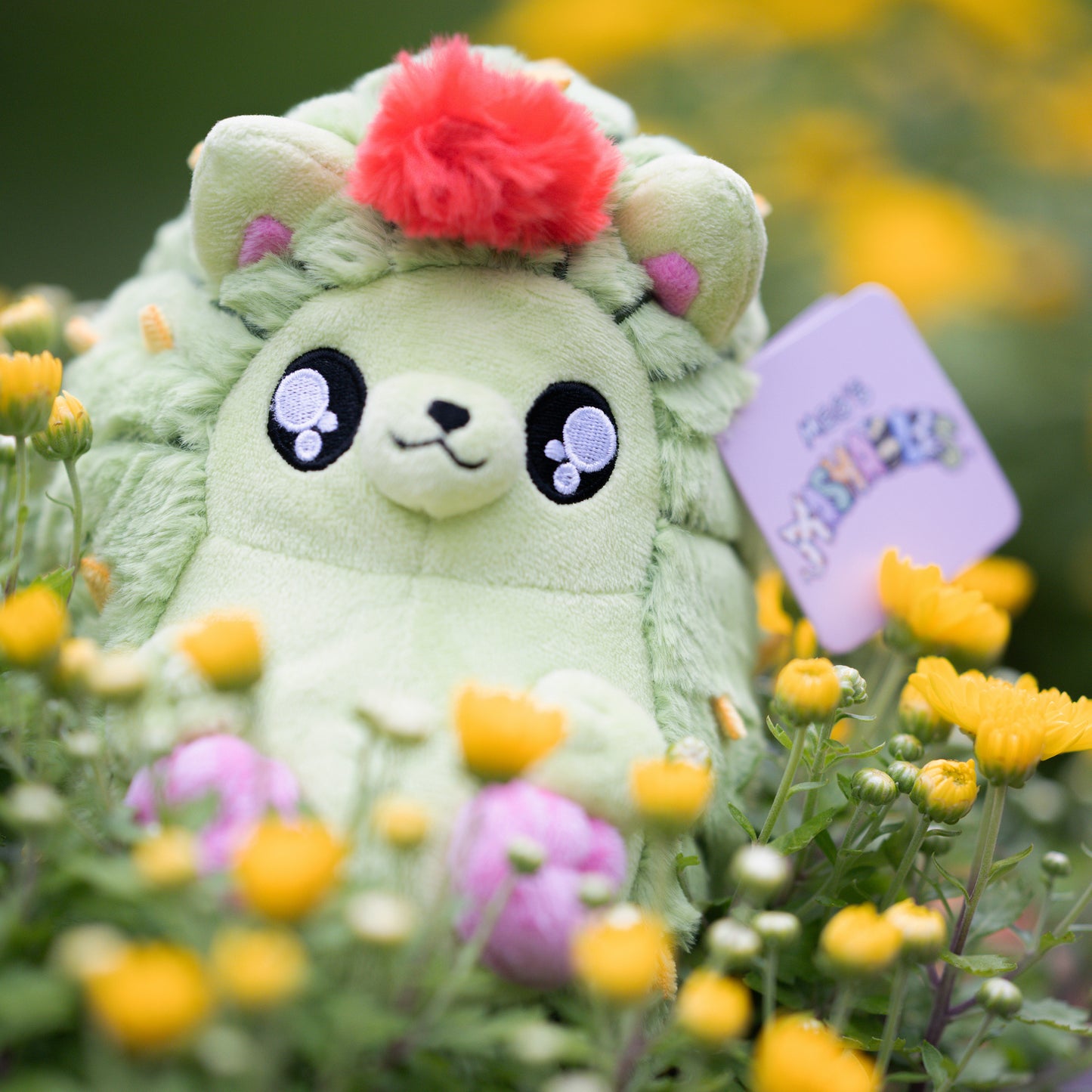 Cacthog Plush (cactus + hedgehog)