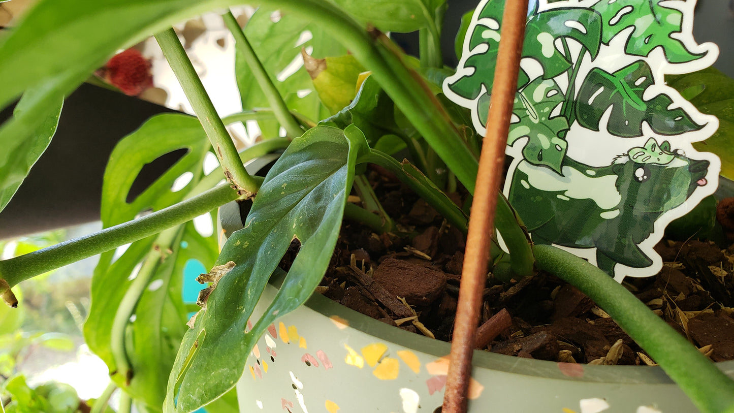 Skunkterra Sticker (skunk + monstera)