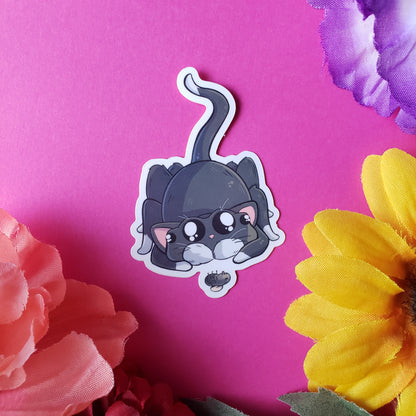 Spitty Sticker (spider + cat)