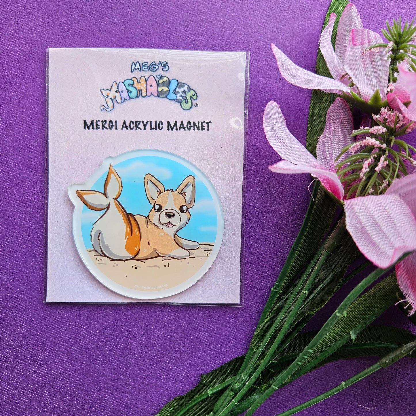 Corgi Acrylic Magnet Pack (8 magnets)