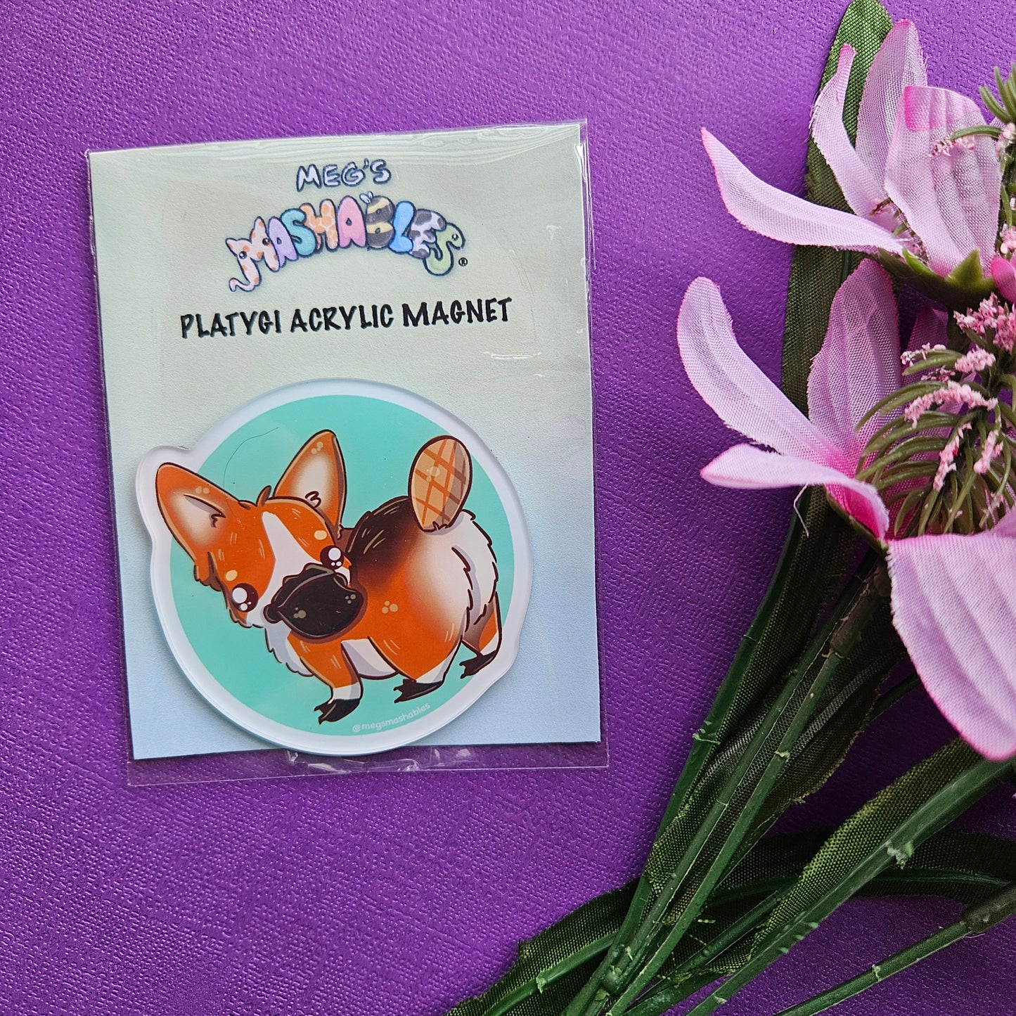 Platygi Acrylic Magnet (platypus + corgi)