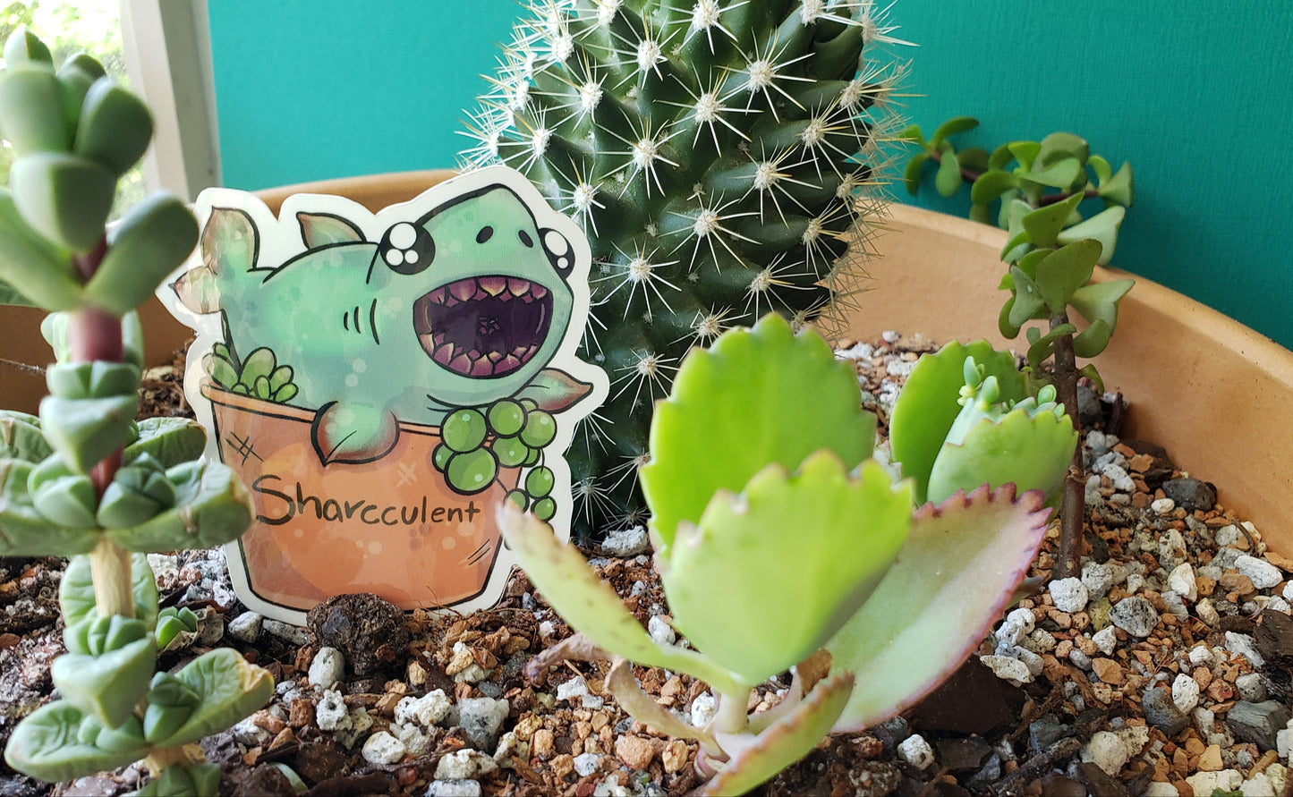 Sharcculent Sticker (shark + succulent)