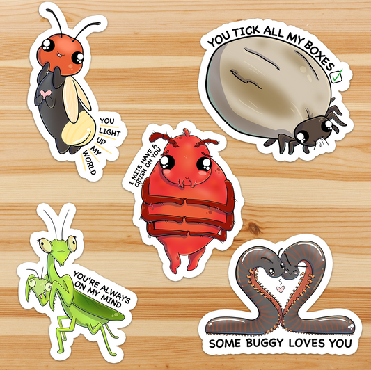 Love Bug Sticker Pack (5 stickers)