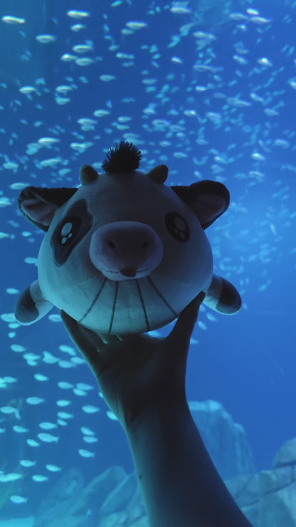 WOW Plush (whale + cow)